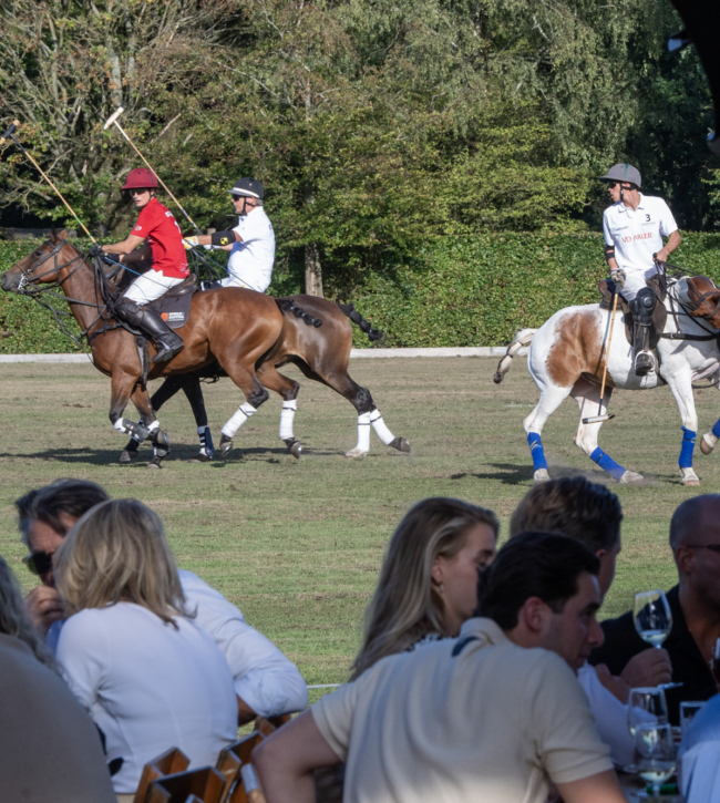 073rd polo waalre