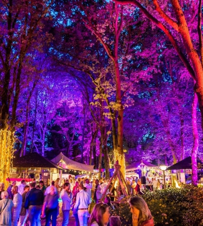 358089319 834708414658297 6955356981377686691 n